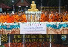 เขาใหญ่ตักบาตรพระ 1,000 รูป ต้อนรับปีใหม่ช่วยผู้ประสบภัยทั่วไทย